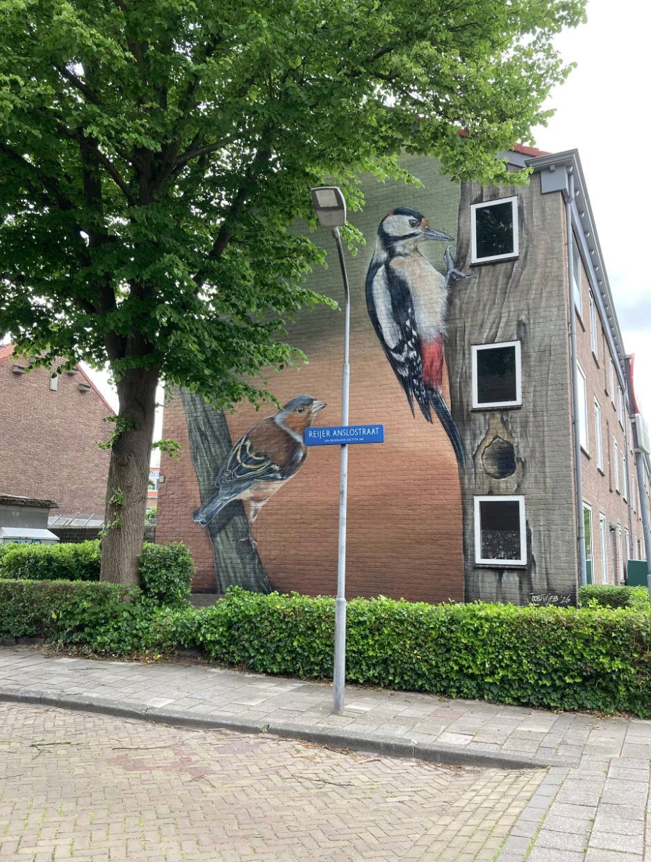 Eksterlaan muurschildering 2 Eksterlaan muurschildering 2